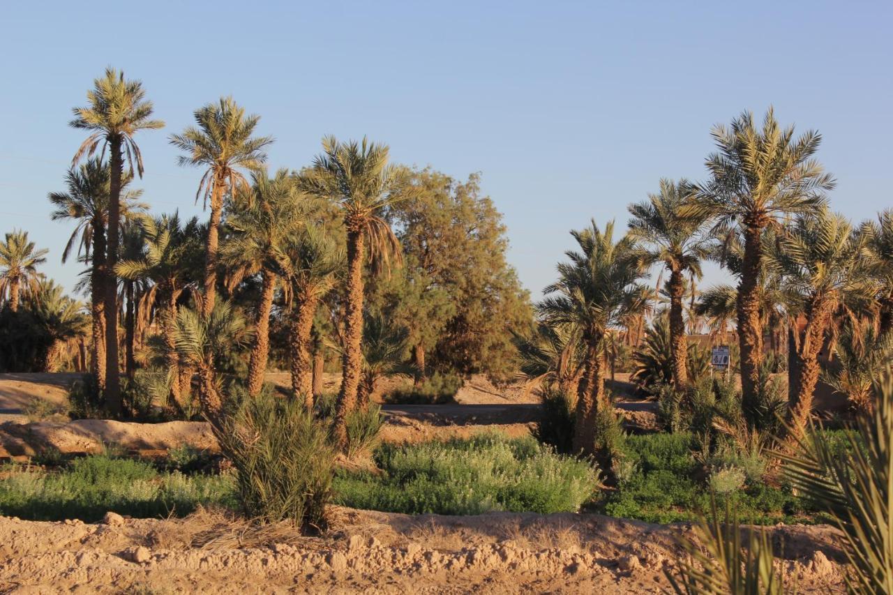 Palais Du Desert Hotel & Spa Erfoud Dış mekan fotoğraf